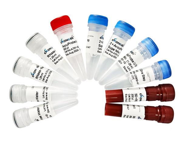 是一家围绕蛋白质工程和分子酶进行技术研发和产品开发的生物科技企业